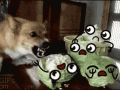 raw.gif